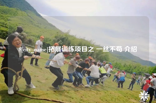 潍坊拓展训练项目之 一丝不苟 介绍